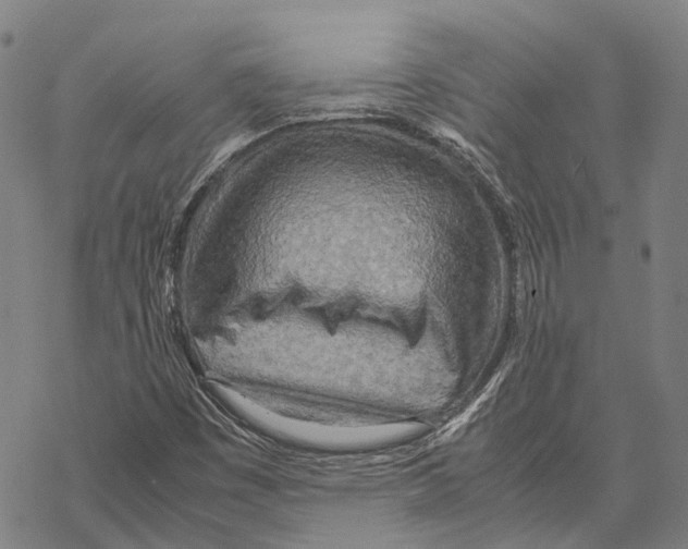 X0000067481449200605051700