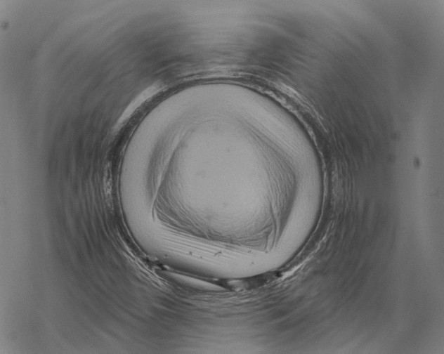 X0000067481450200605051700