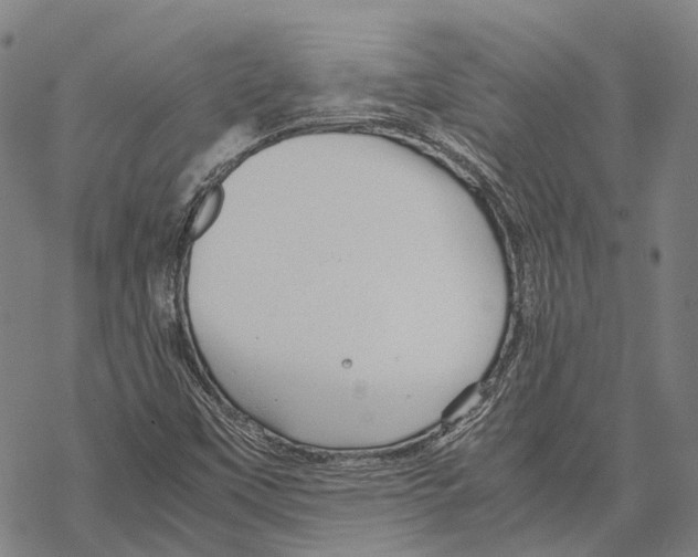 X0000067481451200605051700