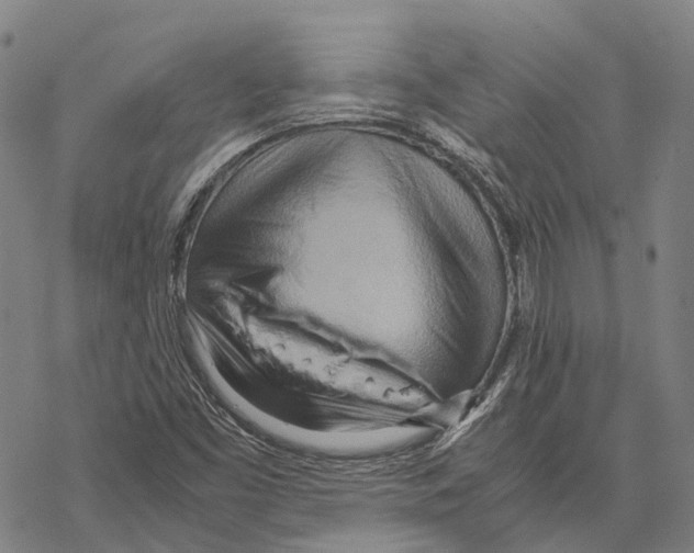 X0000067481453200605051700