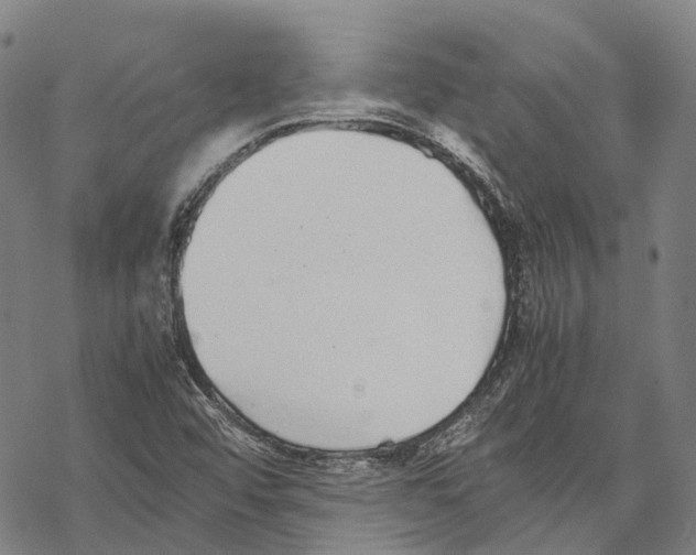 X0000067481456200605051700