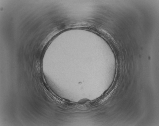 X0000067481457200605051700