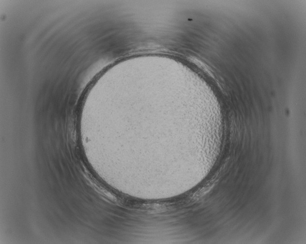 X0000067481458200605051700