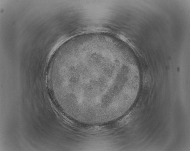 X0000067481459200605051700