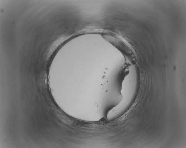 X0000067481461200605051700