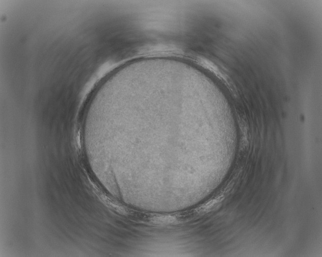 X0000067481462200605051700