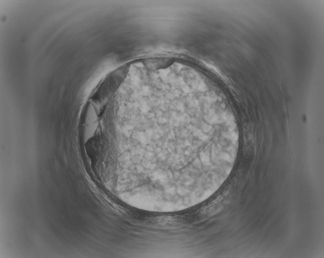 X0000067481463200605051700