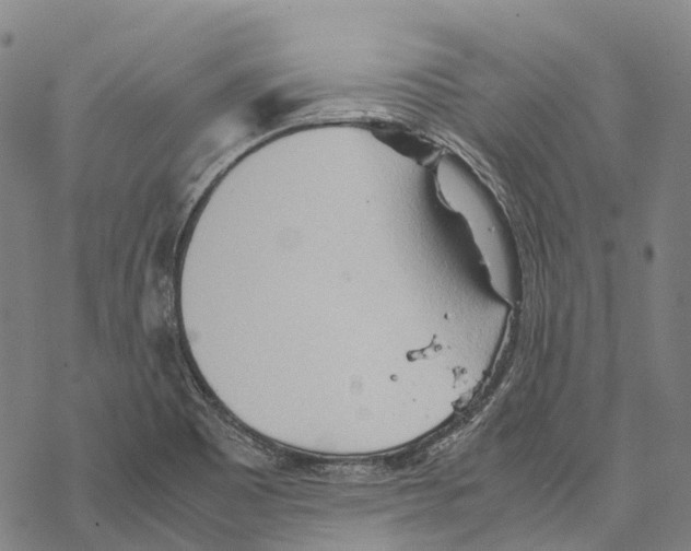 X0000067481465200605051700