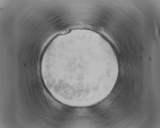 X0000067481468200605051700