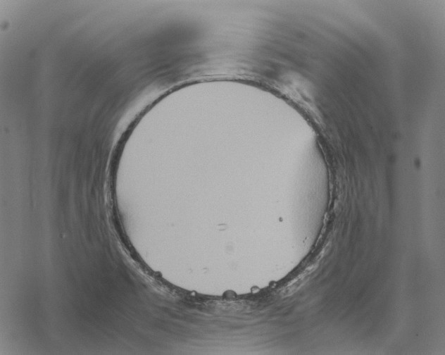 X0000067481469200605051700