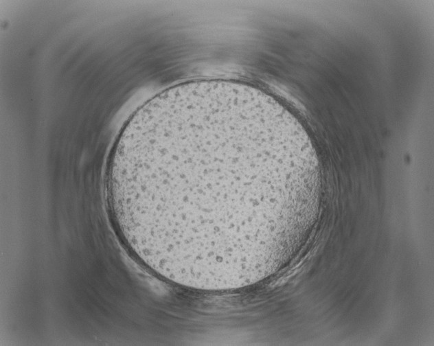 X0000067481471200605051700