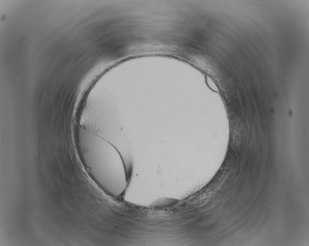 X0000067481472200605051700