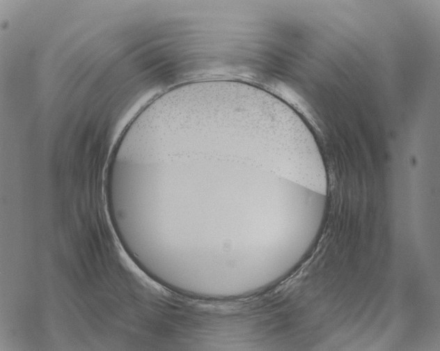 X0000067481476200605051700