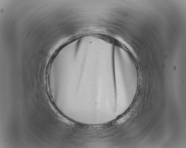 X0000067481477200605051700