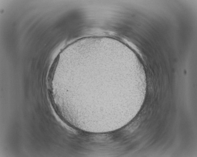 X0000067481479200605051700