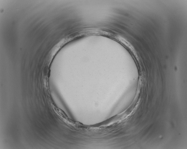 X0000067481481200605051700