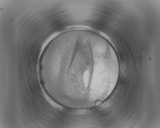 X0000067481482200605051700