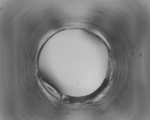 X0000067481485200605051700