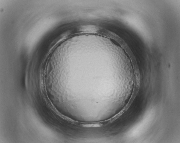 X0000067481487200605051700