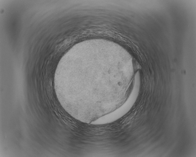 X0000067481489200605051659