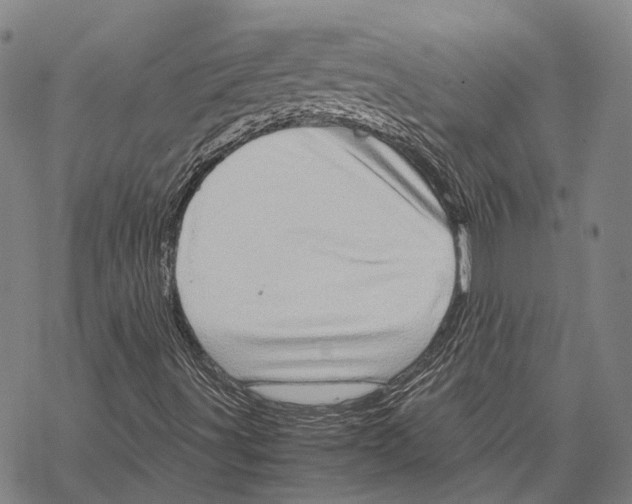 X0000067481491200605051659