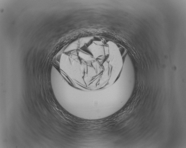 X0000067481492200605051659