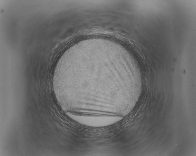 X0000067481493200605051659