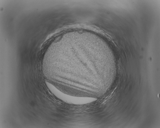 X0000067481494200605051659