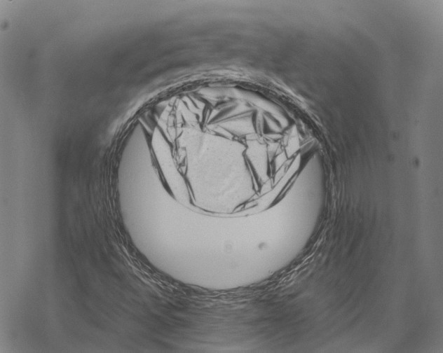 X0000067481496200605051659