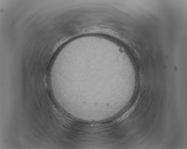 X0000067481497200605051659