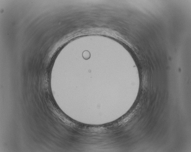 X0000067481498200605051659