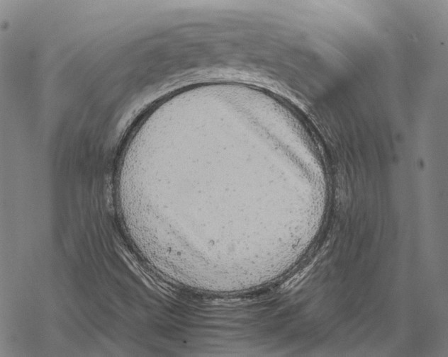 X0000067481499200605051659