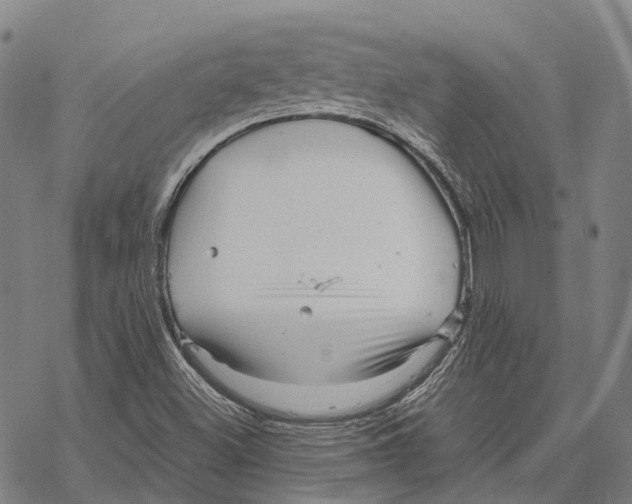 X0000067481500200605051659