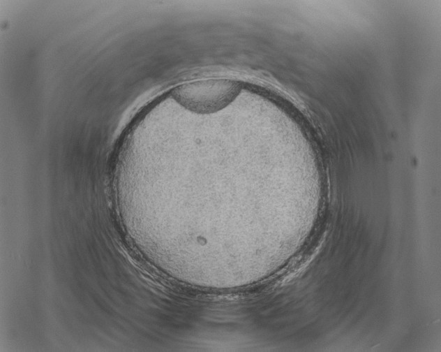 X0000067481501200605051659