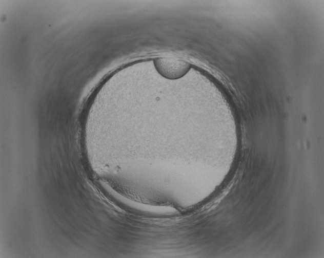 X0000067481502200605051659