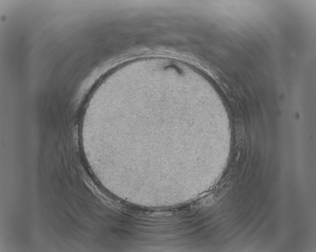 X0000067481503200605051659