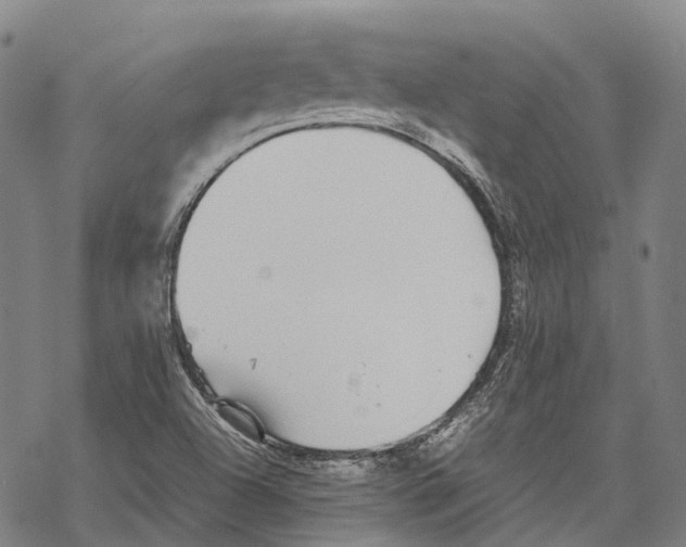 X0000067481504200605051659