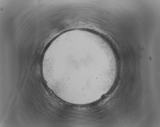 X0000067481505200605051659