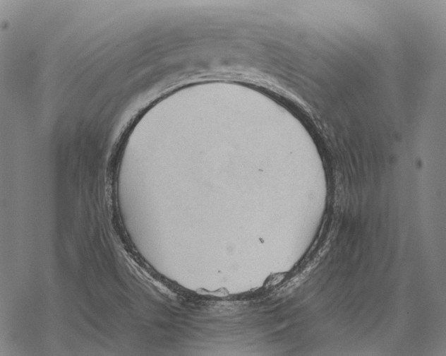 X0000067481506200605051659