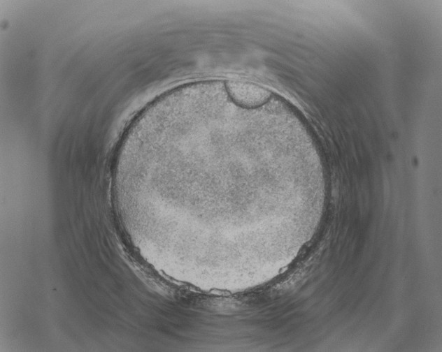 X0000067481507200605051659