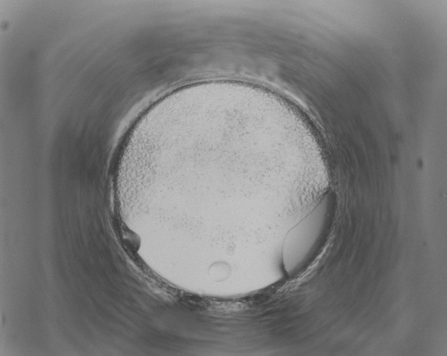 X0000067481509200605051659