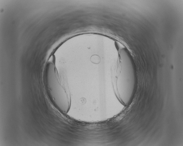 X0000067481510200605051659