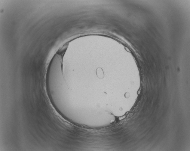 X0000067481512200605051659