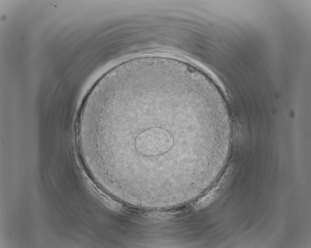 X0000067481514200605051659