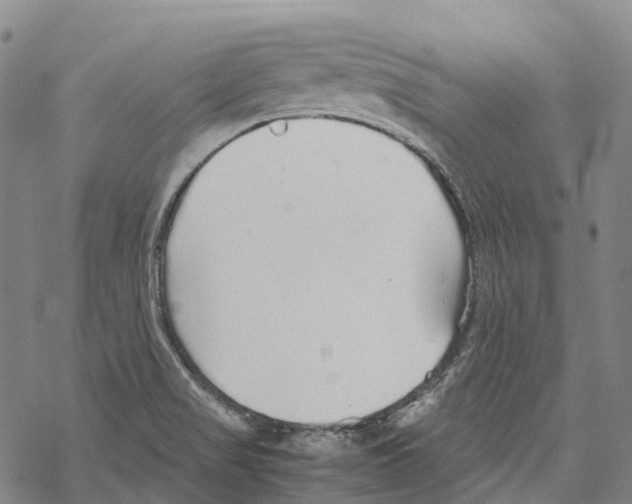 X0000067481517200605051659