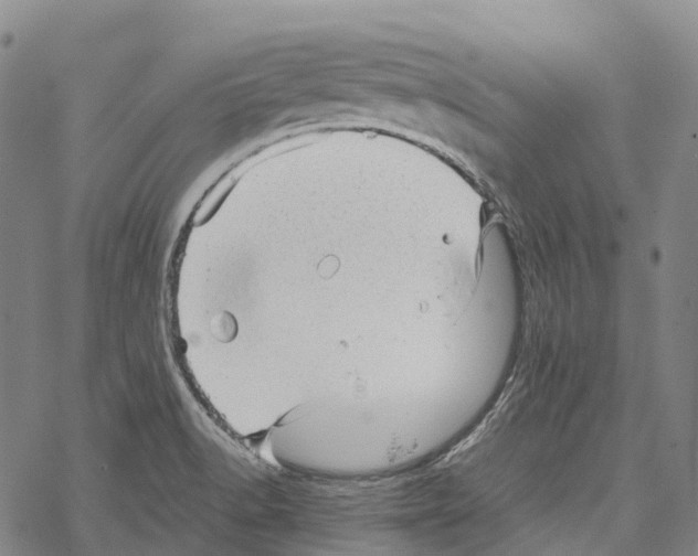 X0000067481518200605051659