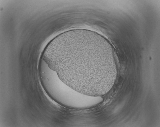 X0000067481519200605051659