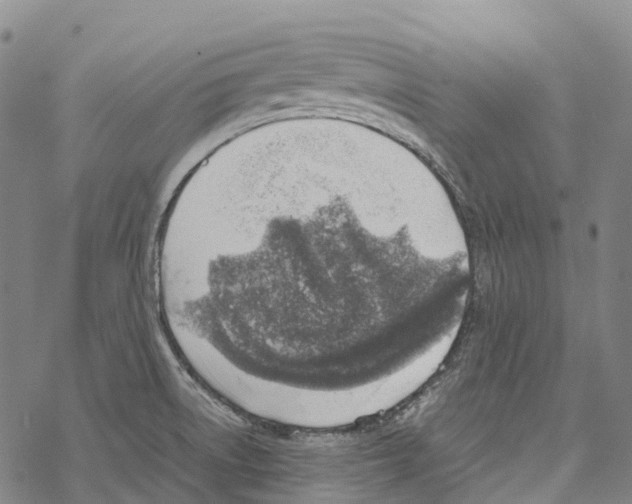 X0000067481522200605051659