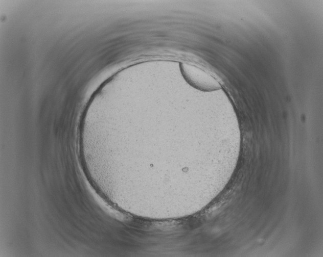 X0000067481523200605051659