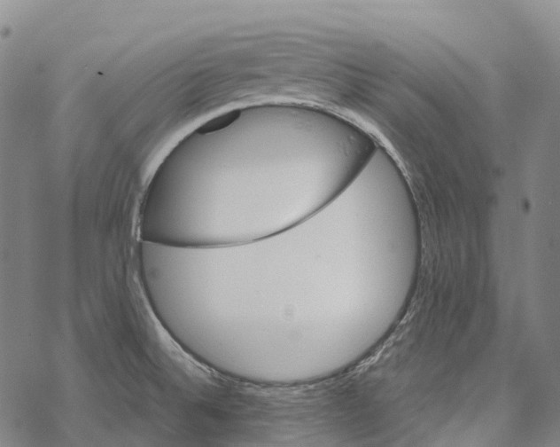 X0000067481524200605051659